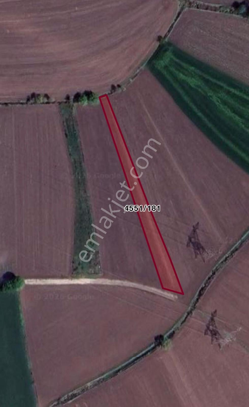 Sakarya Adapazarı Süleymanbey 1.553 M² Yatırımlık Satılık Tarla