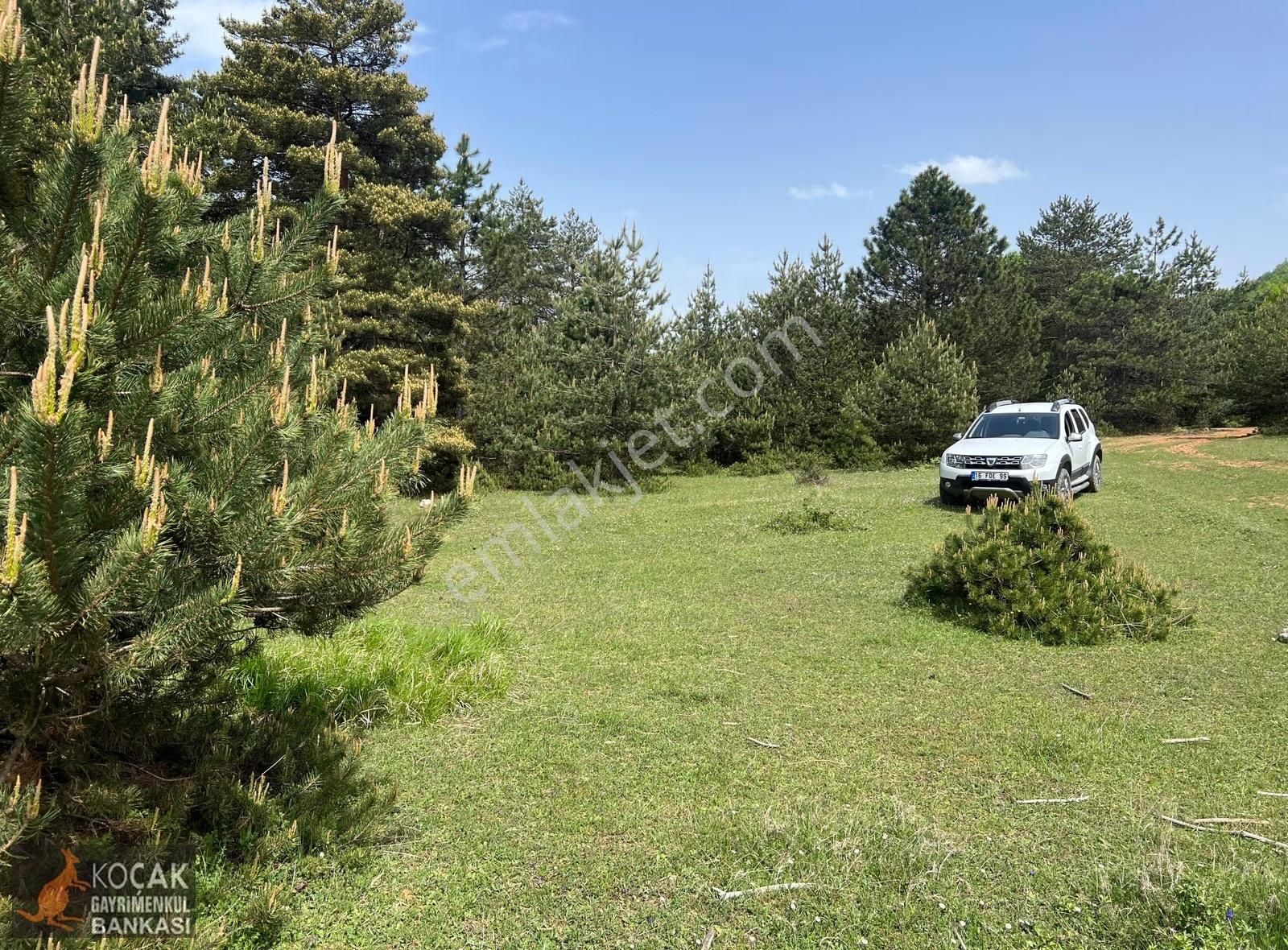 Doğayla İç İçe Olmak İstiyenlere Etrafı Orman 4.700m2 Arazi - Görsel 11