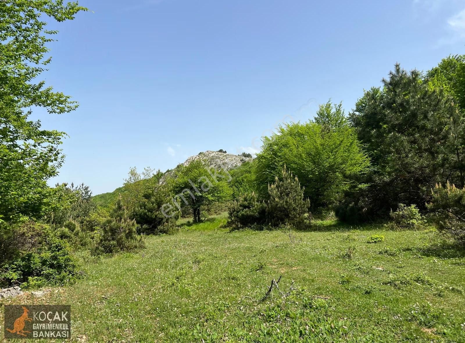 Doğayla İç İçe Olmak İstiyenlere Etrafı Orman 4.700m2 Arazi - Görsel 16