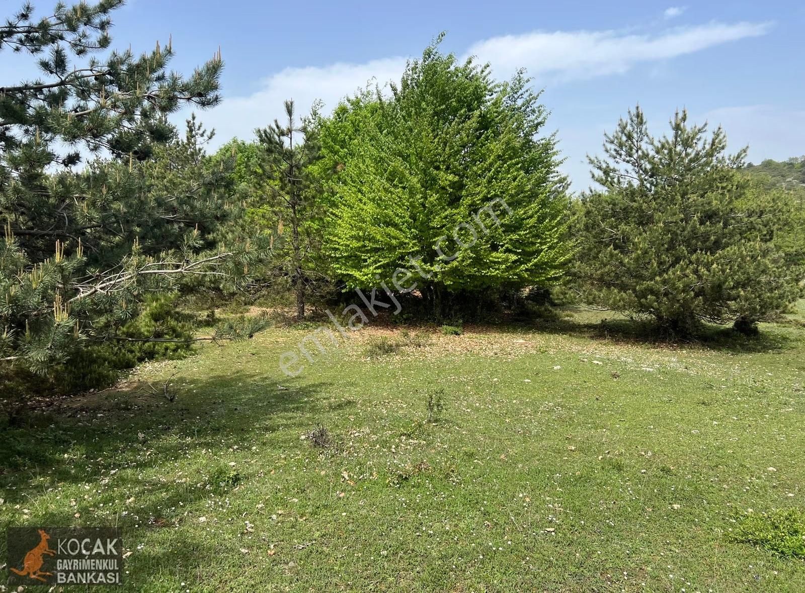 Doğayla İç İçe Olmak İstiyenlere Etrafı Orman 4.700m2 Arazi - Görsel 8