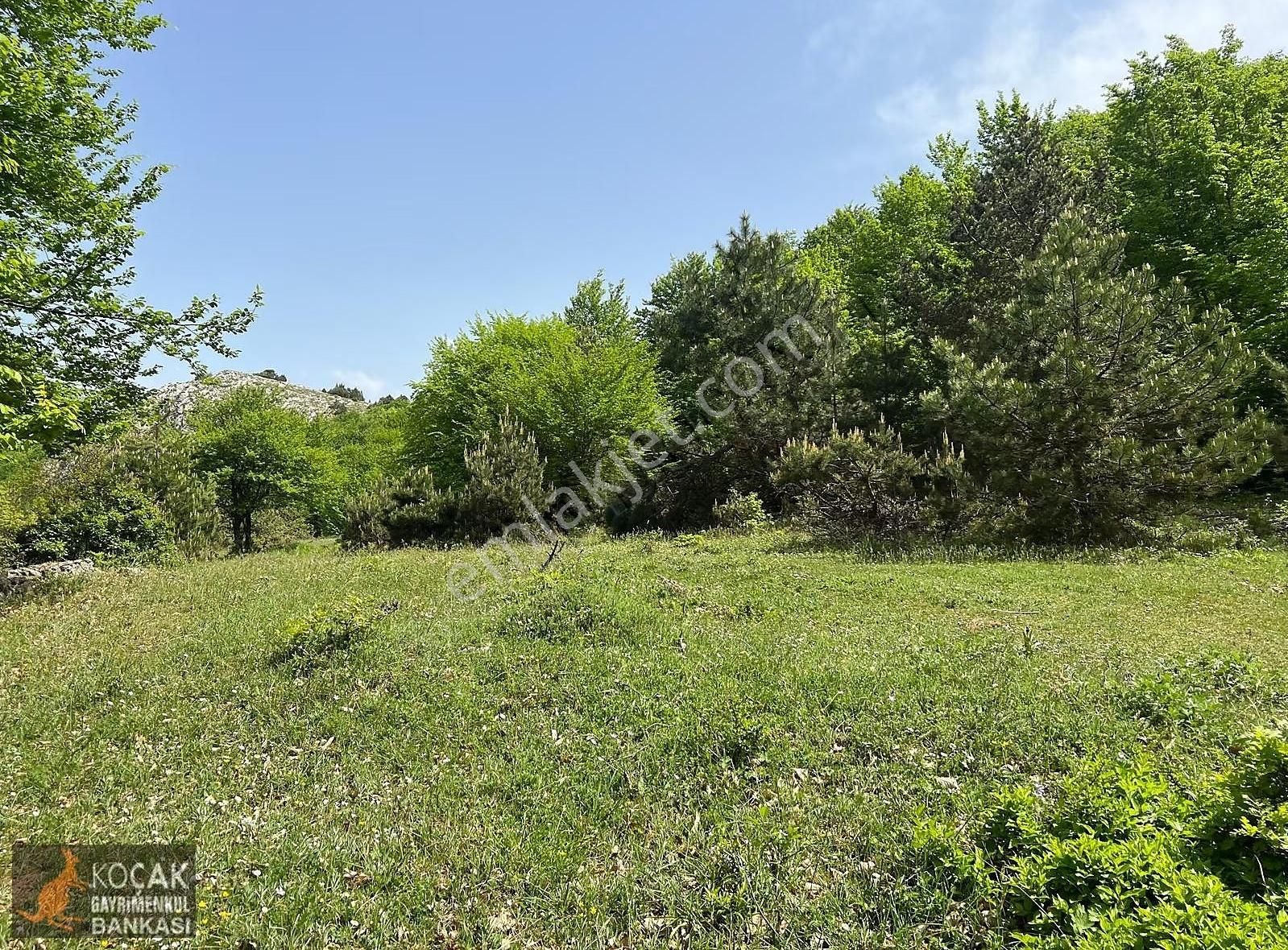 Doğayla İç İçe Olmak İstiyenlere Etrafı Orman 4.700m2 Arazi - Görsel 15