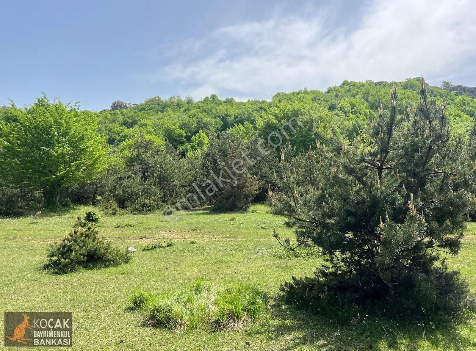 Doğayla İç İçe Olmak İstiyenlere Etrafı Orman 4.700m2 Arazi - Görsel 10