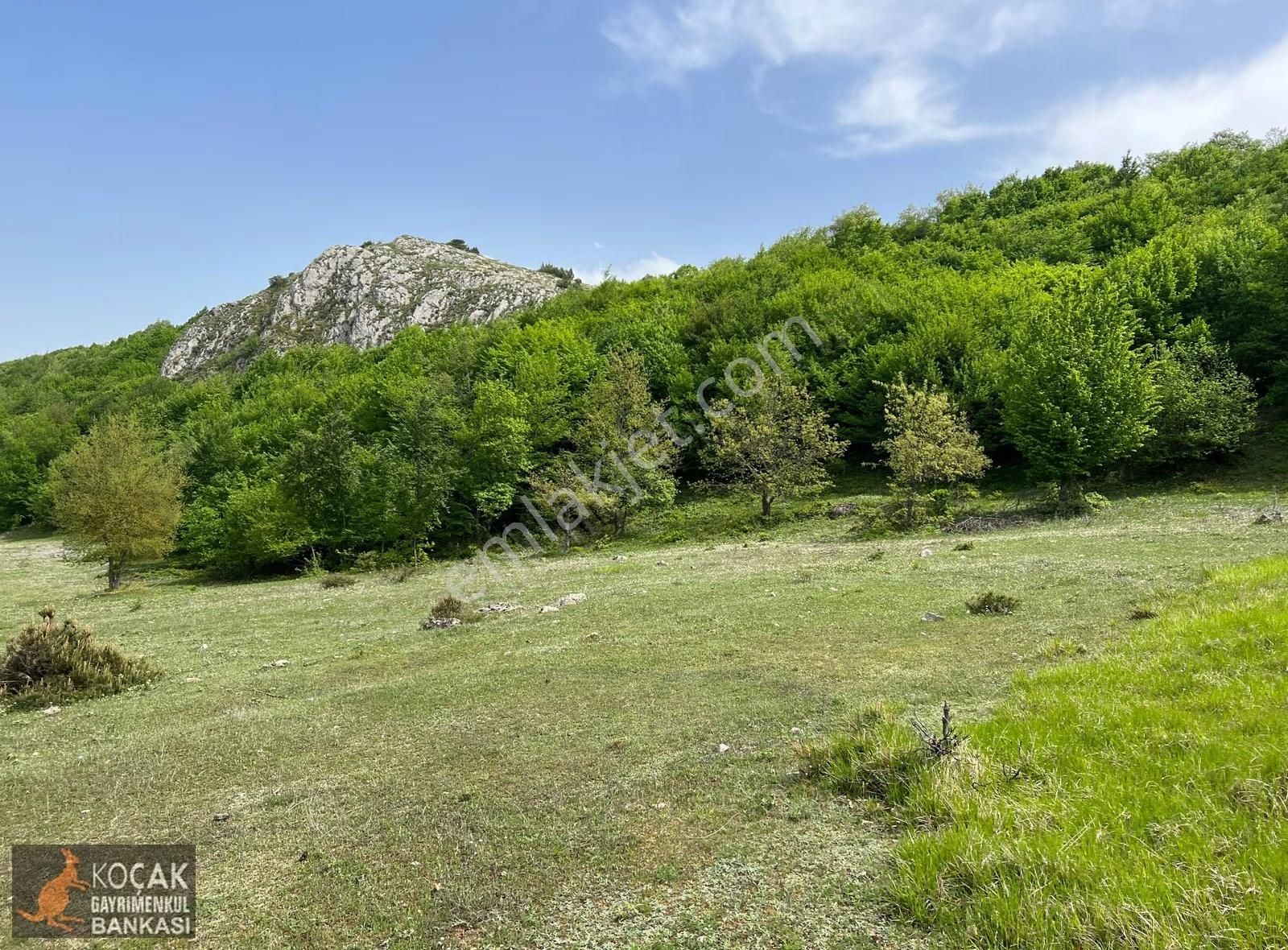 Doğayla İç İçe Olmak İstiyenlere Etrafı Orman 4.700m2 Arazi - Görsel 9