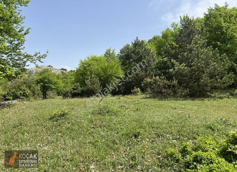 Doğayla İç İçe Olmak İstiyenlere Etrafı Orman 4.700m2 Arazi - Görsel 21