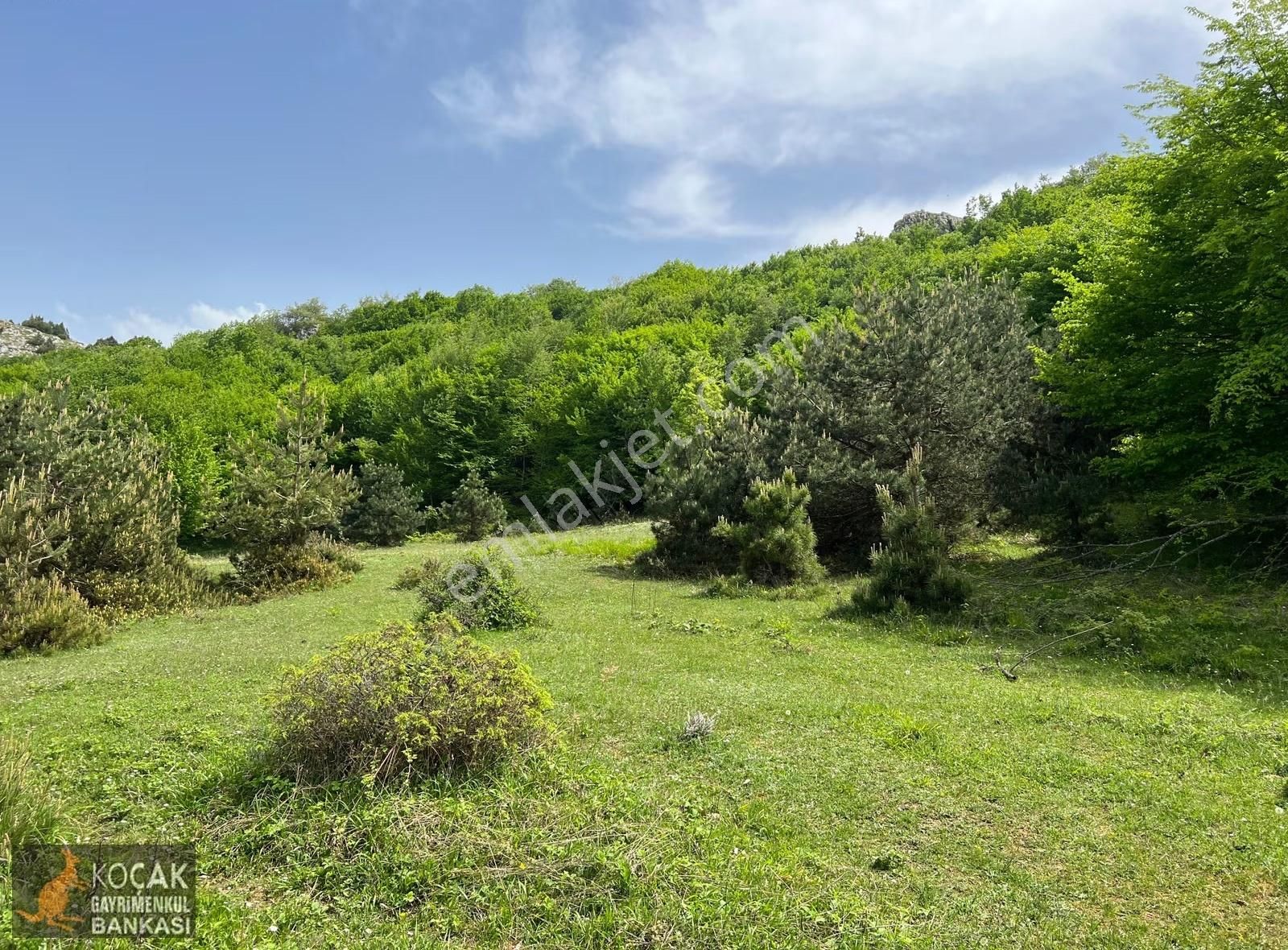 Doğayla İç İçe Olmak İstiyenlere Etrafı Orman 4.700m2 Arazi - Görsel 7