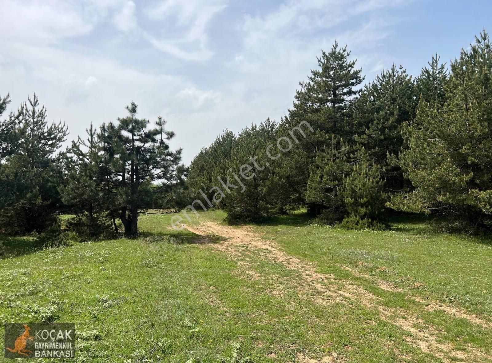 Doğayla İç İçe Olmak İstiyenlere Etrafı Orman 4.700m2 Arazi - Görsel 33