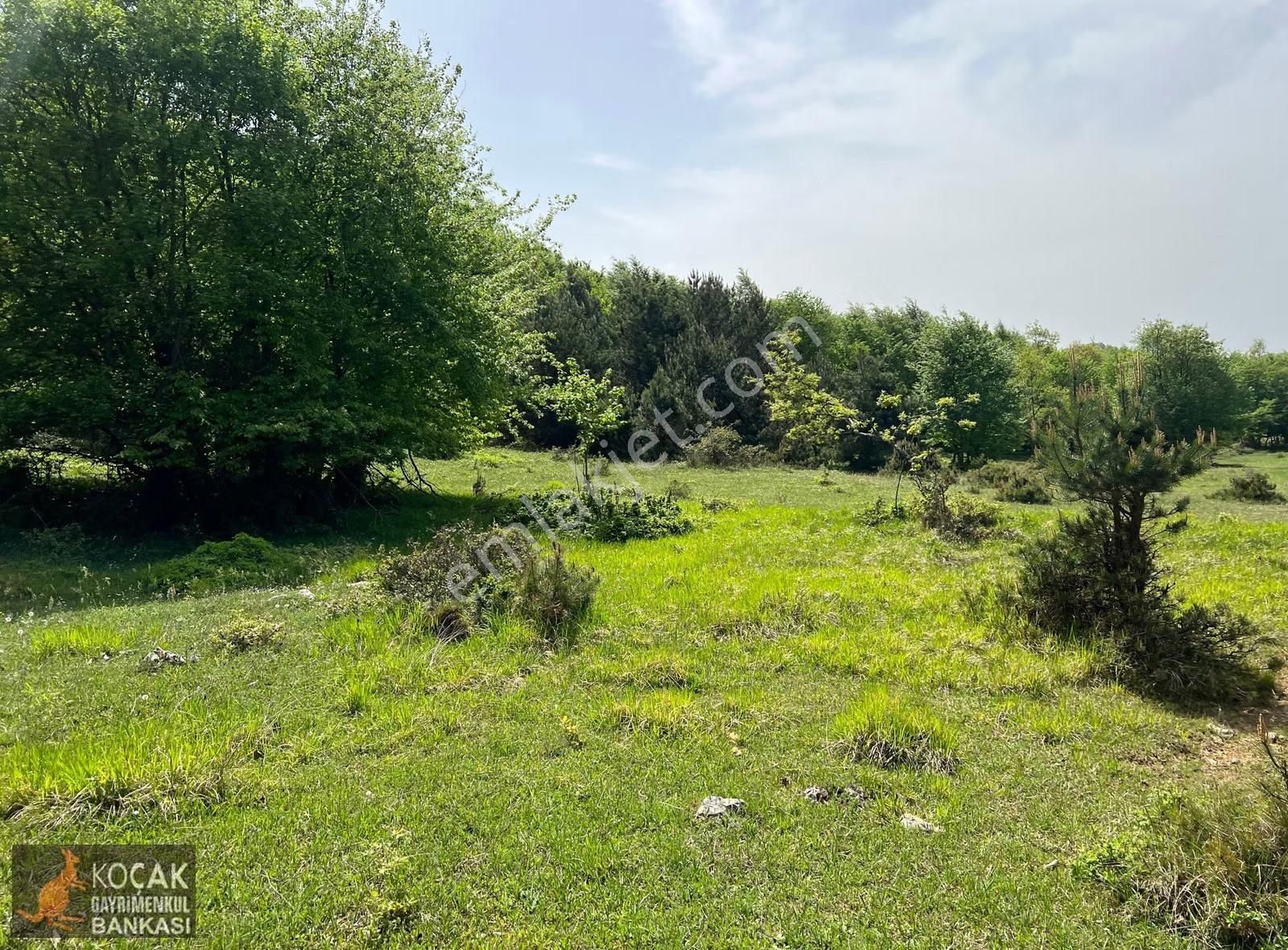 Doğayla İç İçe Olmak İstiyenlere Etrafı Orman 4.700m2 Arazi - Görsel 35