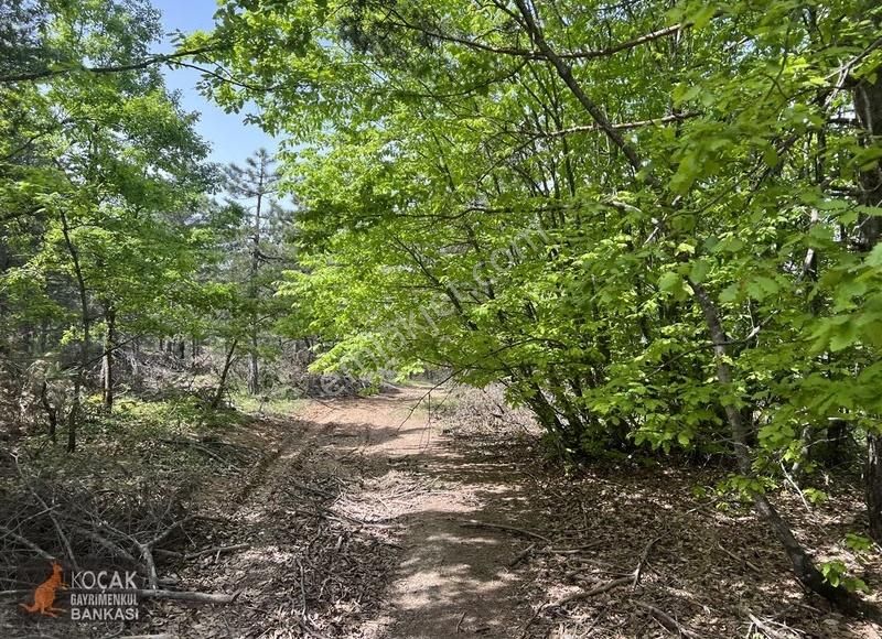 Doğayla İç İçe Olmak İstiyenlere Etrafı Orman 4.700m2 Arazi - Görsel 30