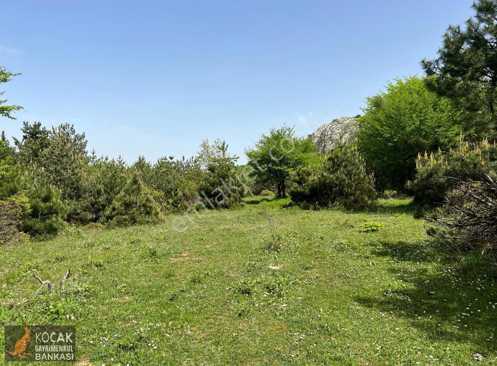 Doğayla İç İçe Olmak İstiyenlere Etrafı Orman 4.700m2 Arazi - Görsel 34