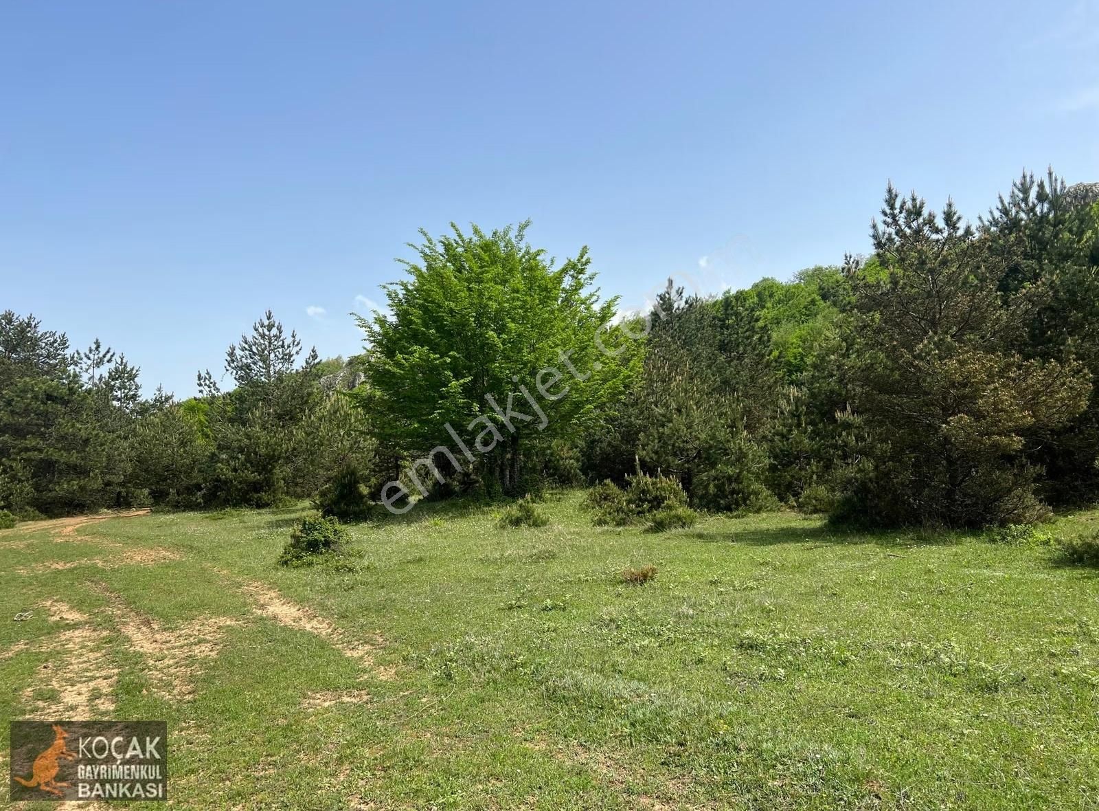 Doğayla İç İçe Olmak İstiyenlere Etrafı Orman 4.700m2 Arazi - Görsel 12