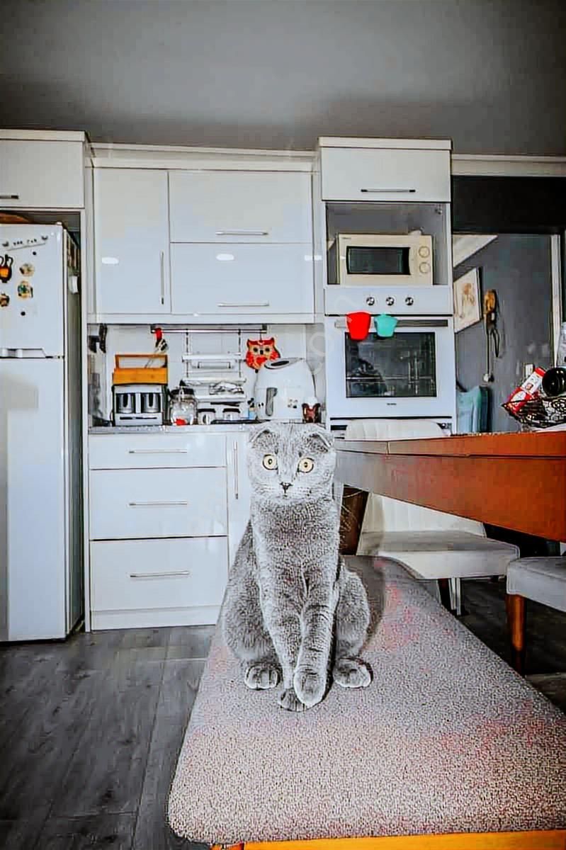 Didim Cumhurıyet Mahallesı'nde Ferah 3+1 Teraslı Dubleks - Görsel 35