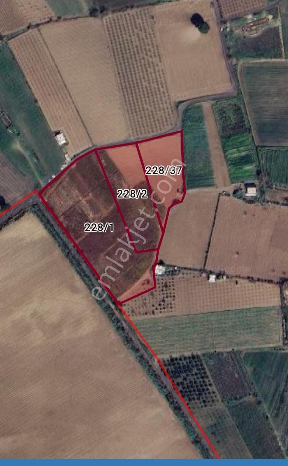 **menemen'in En Verimli Ve Merkeze Yakın Bağ /tarla