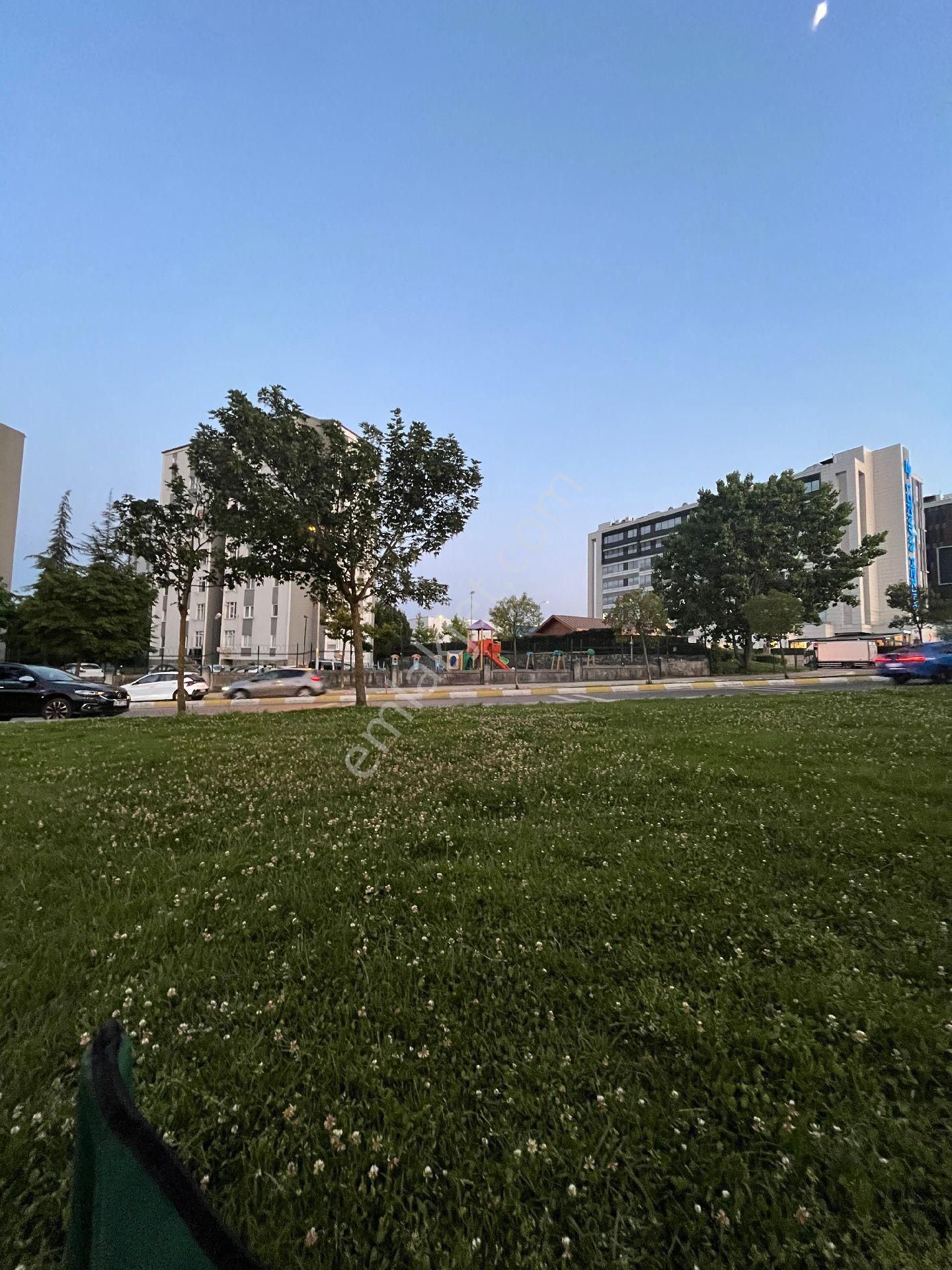 İster Yatırım İster Oturumluk