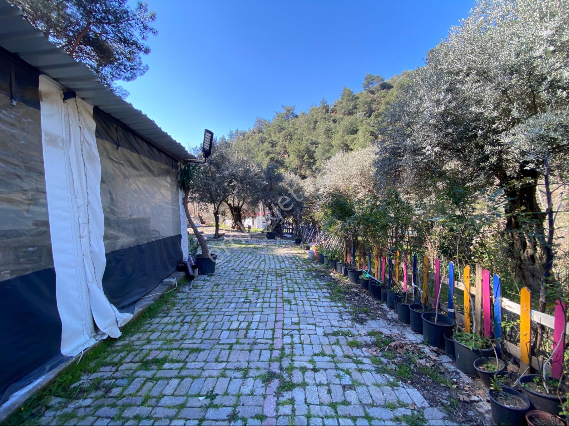 Aydın Efeler Danışment De Satılık Ruhsalı Kahvaltı Salonu - Görsel 9