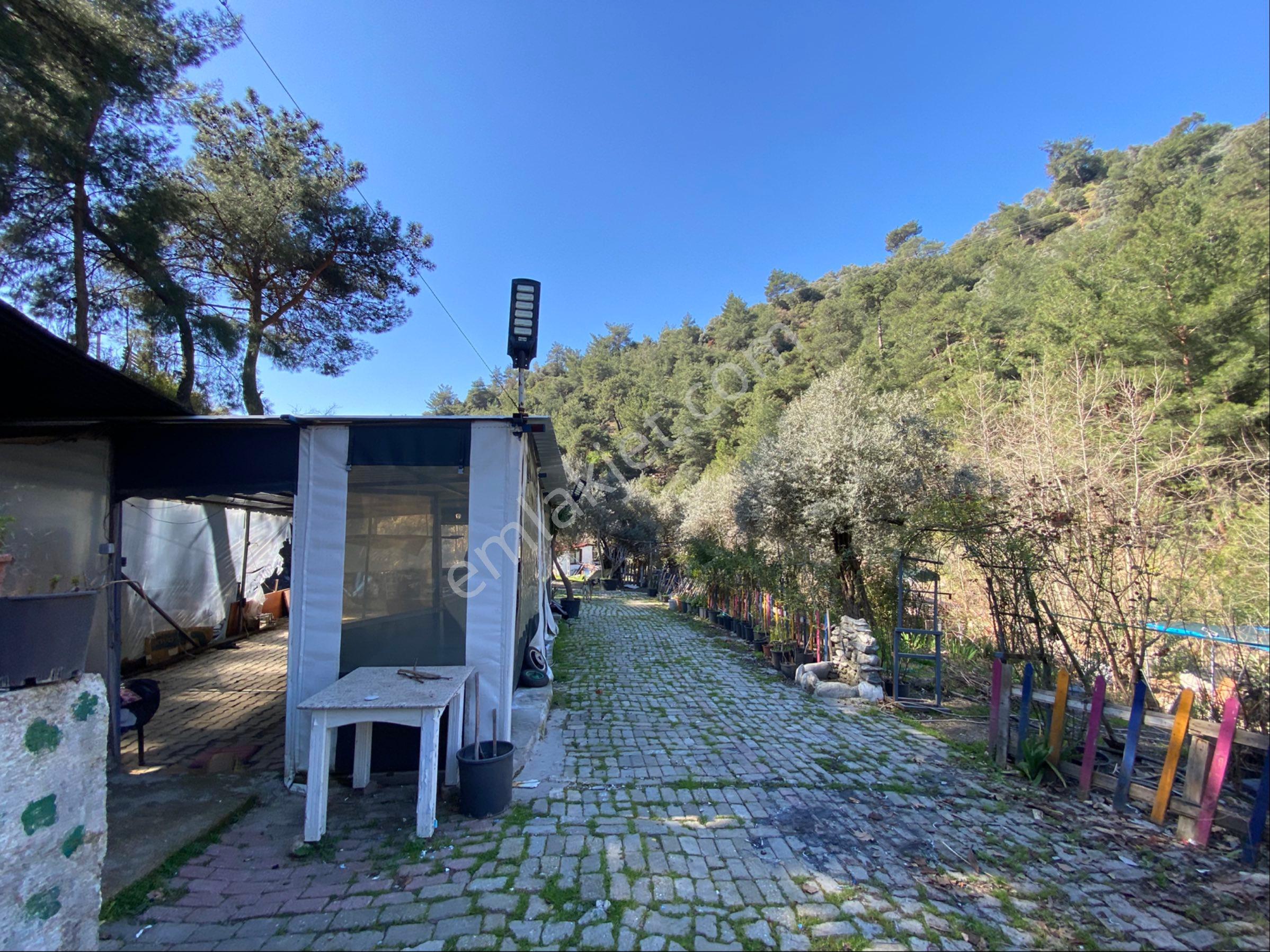 Aydın Efeler Danışment De Satılık Ruhsalı Kahvaltı Salonu - Görsel 8