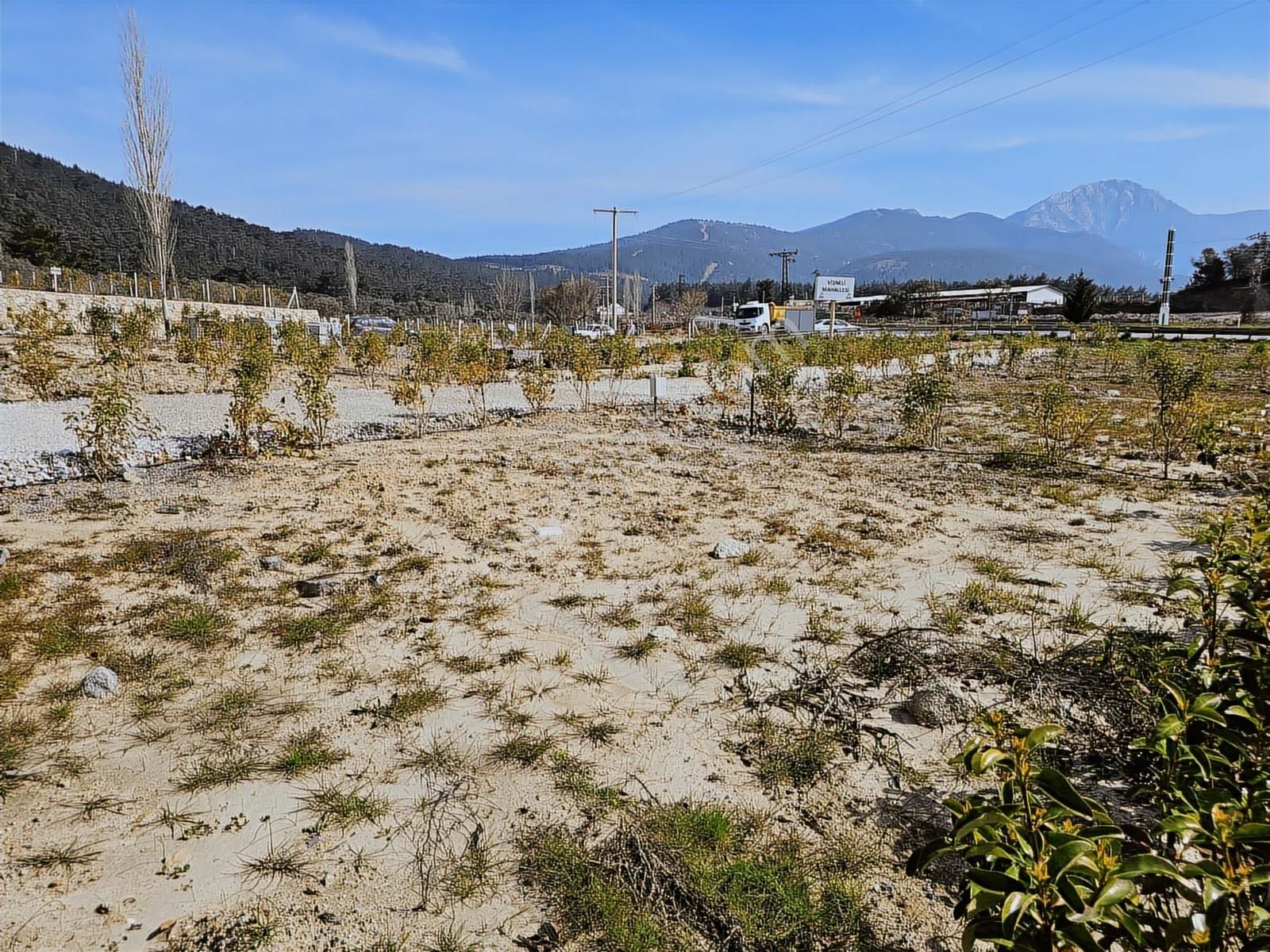 İzmir Kemalpaşa Vişnelide Cok Güzel Konumda Satılık Tapulu Bahce - Görsel 10