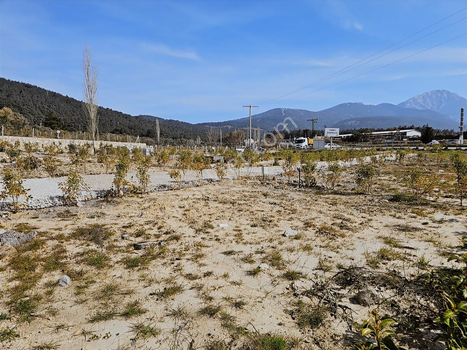 İzmir Kemalpaşa Vişnelide Cok Güzel Konumda Satılık Tapulu Bahce - Görsel 5