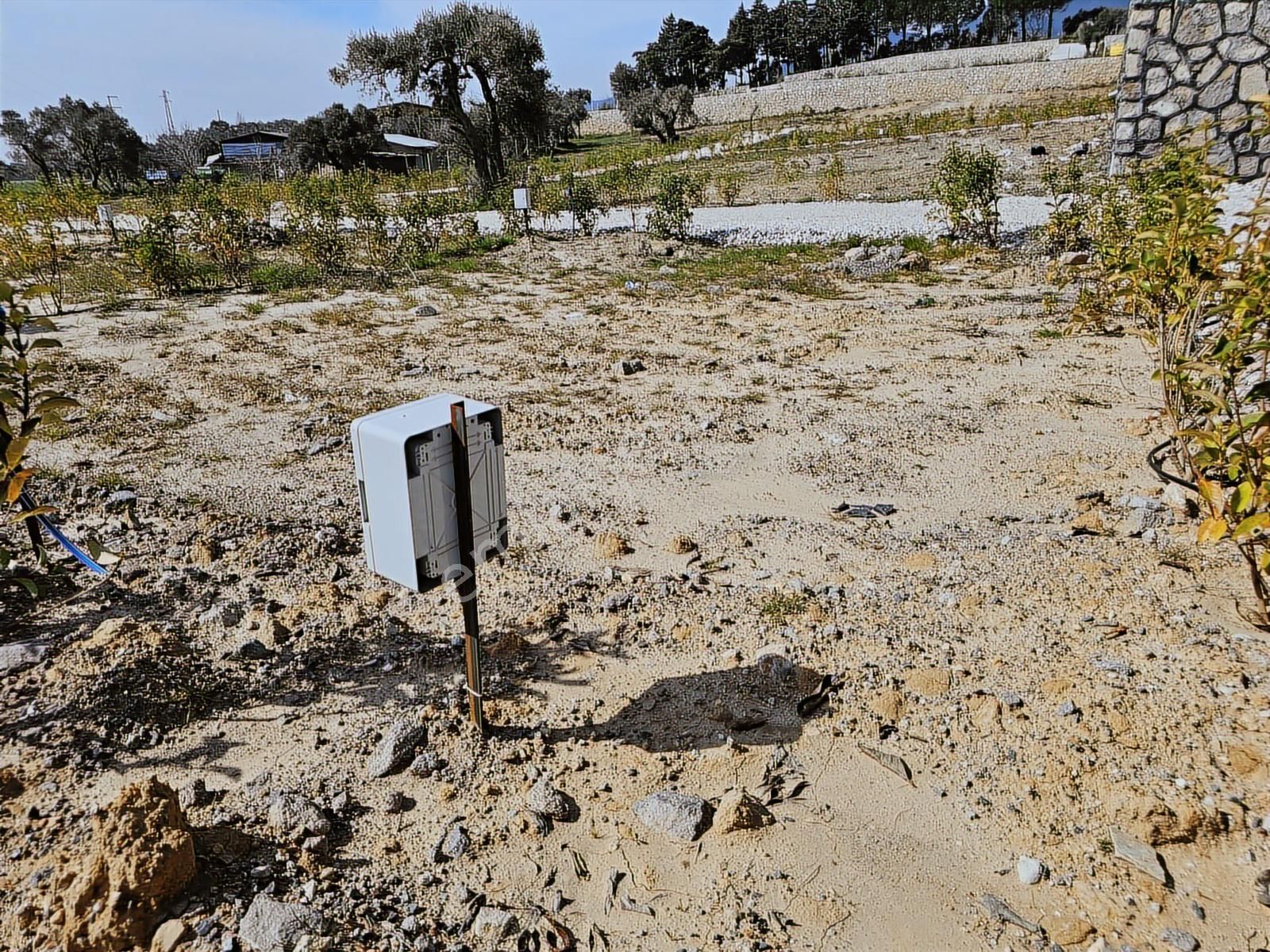 İzmir Kemalpaşa Vişnelide Cok Güzel Konumda Satılık Tapulu Bahce - Görsel 12