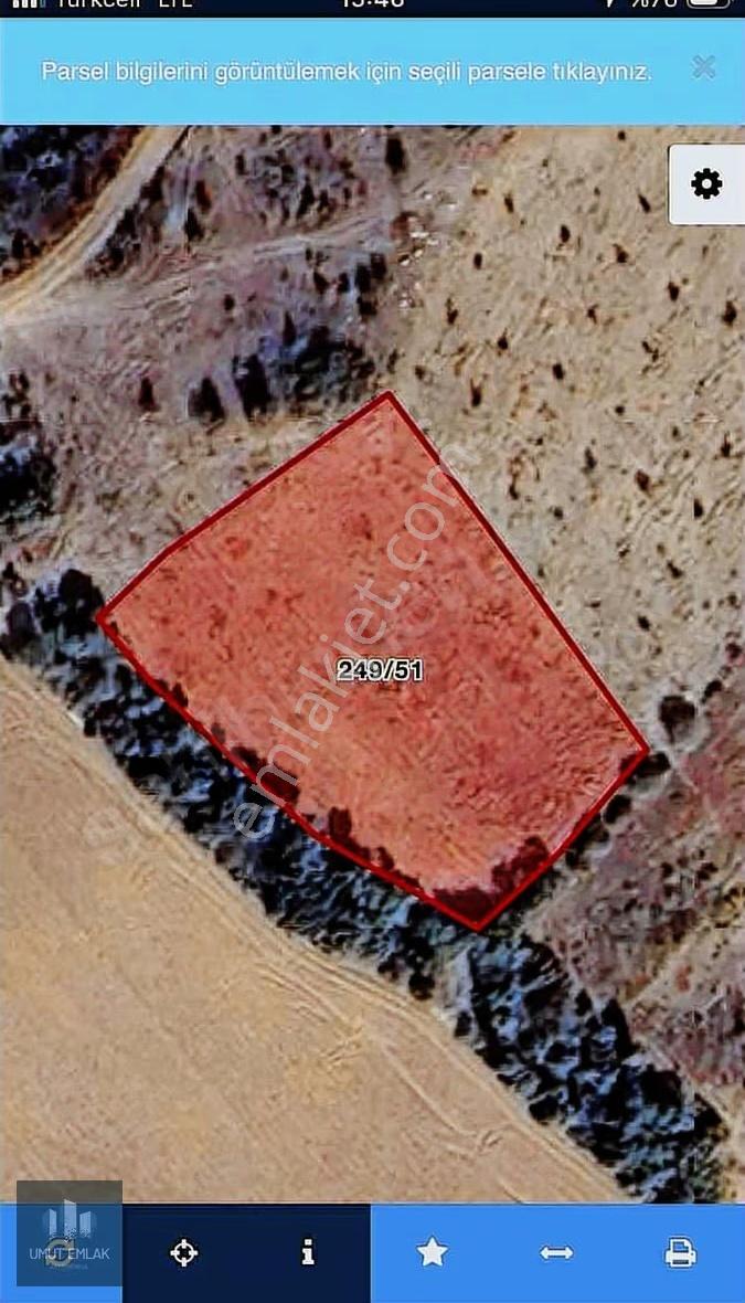 Çal Mahmutgazi De Yatırımlık 2135m2 Tarla - Görsel 2