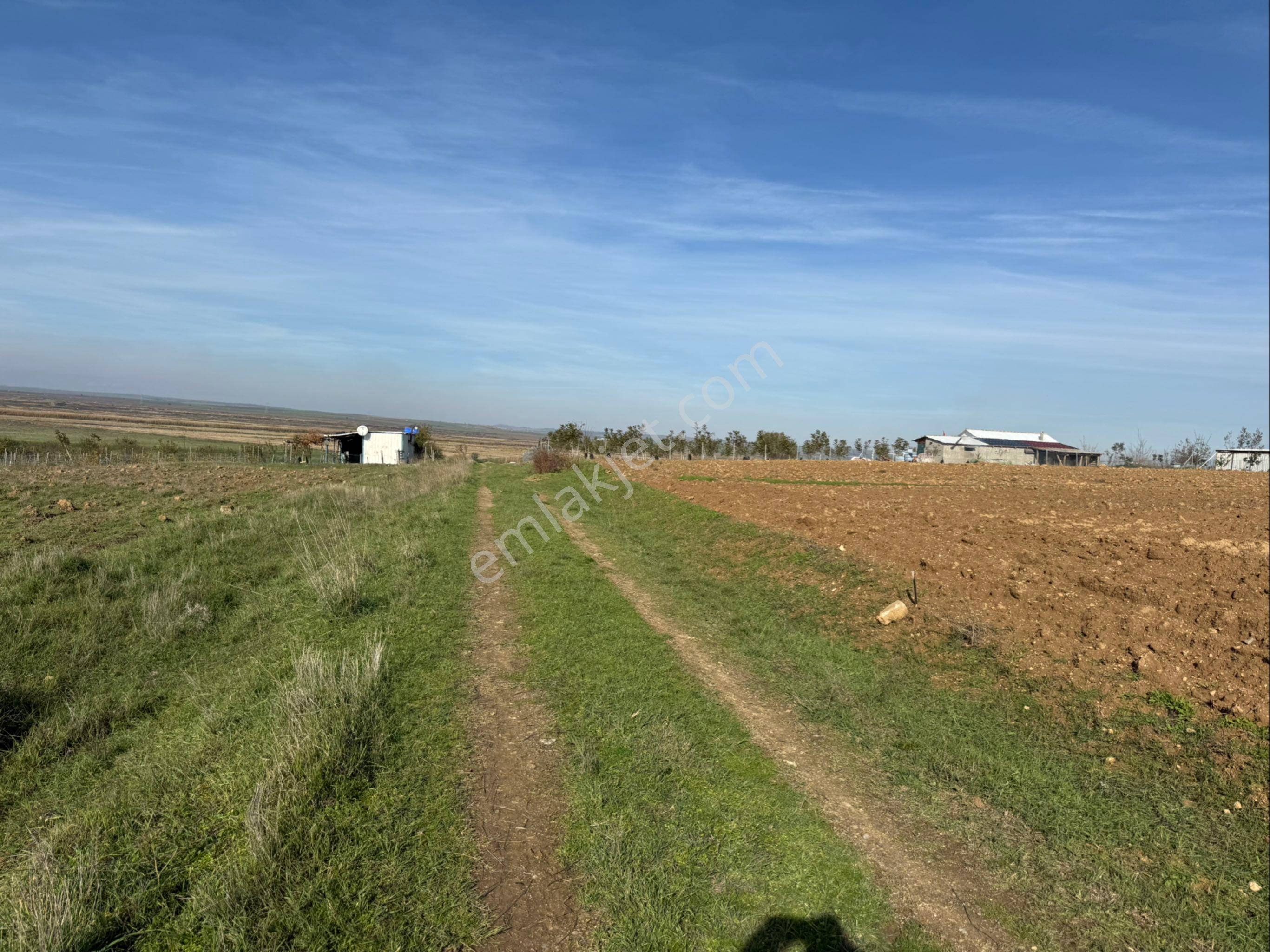 Keşan Enez Yolu Üzerinde