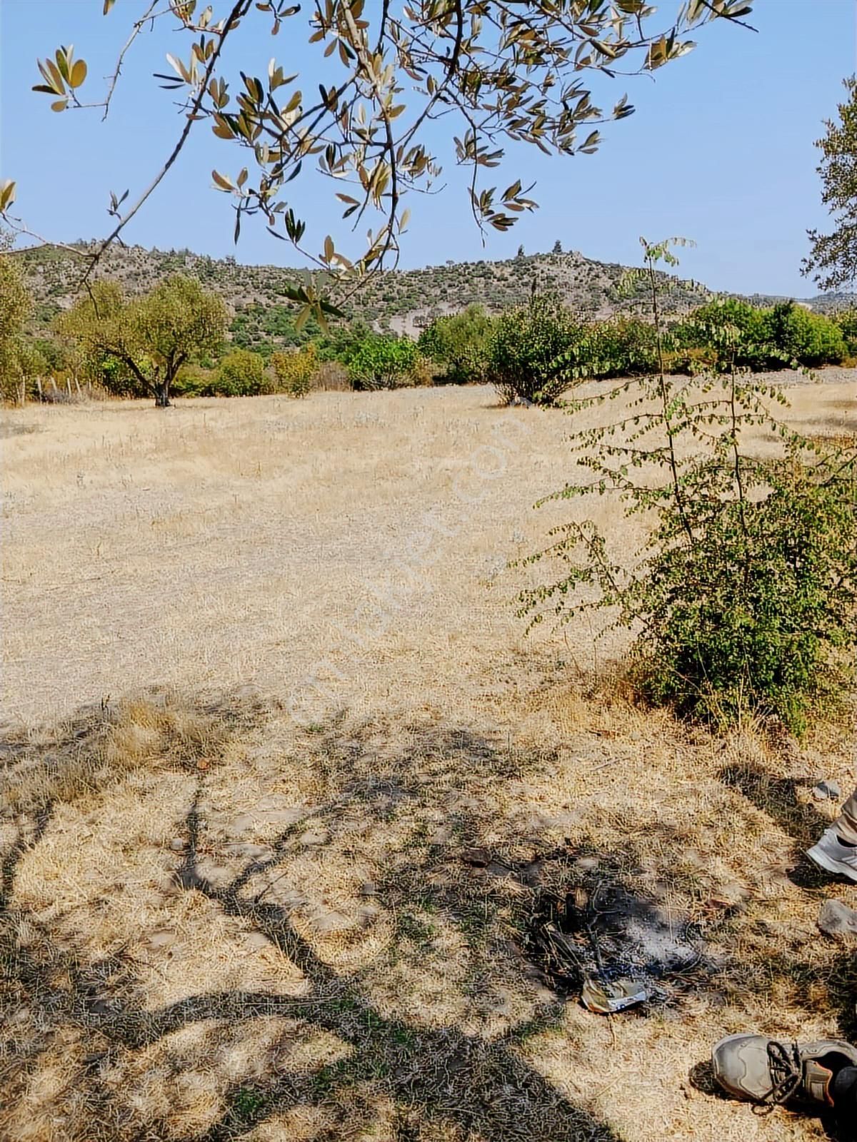 Vizyon Gayrimenkul'den Manisa Yunusemre Çamlıca'da 4 Dönüm - Görsel 12