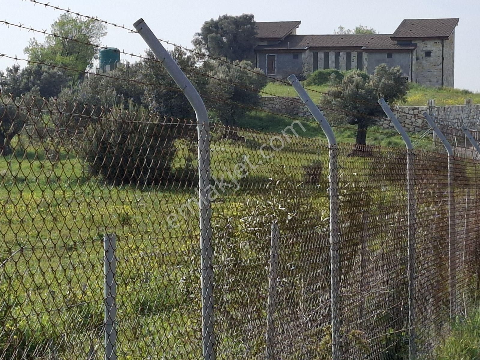 Foça Bagarası Kocamehmetler Mahallesinde Satılık Arazi - Görsel 21