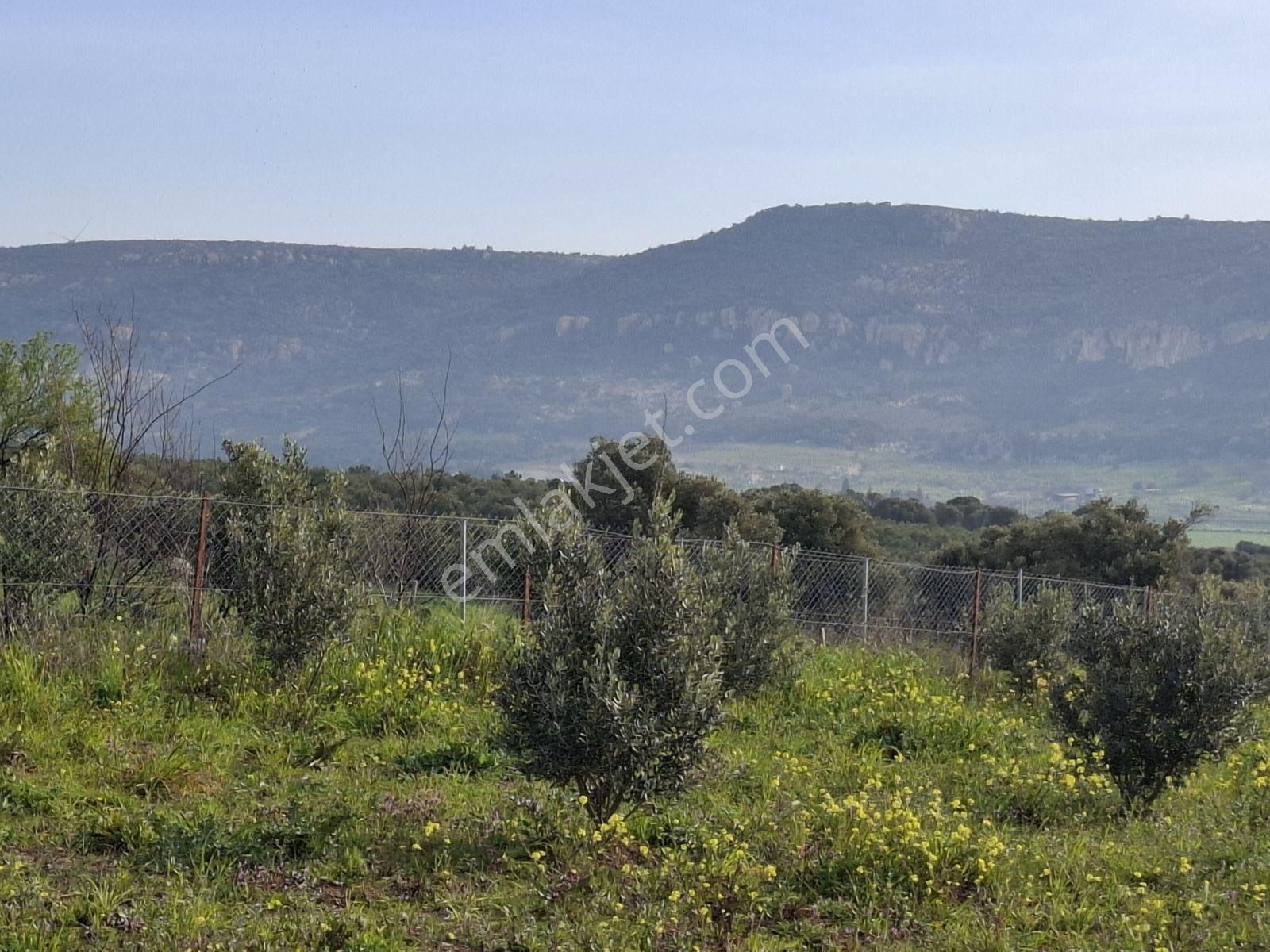 Foça Bagarası Kocamehmetler Mahallesinde Satılık Arazi - Görsel 25