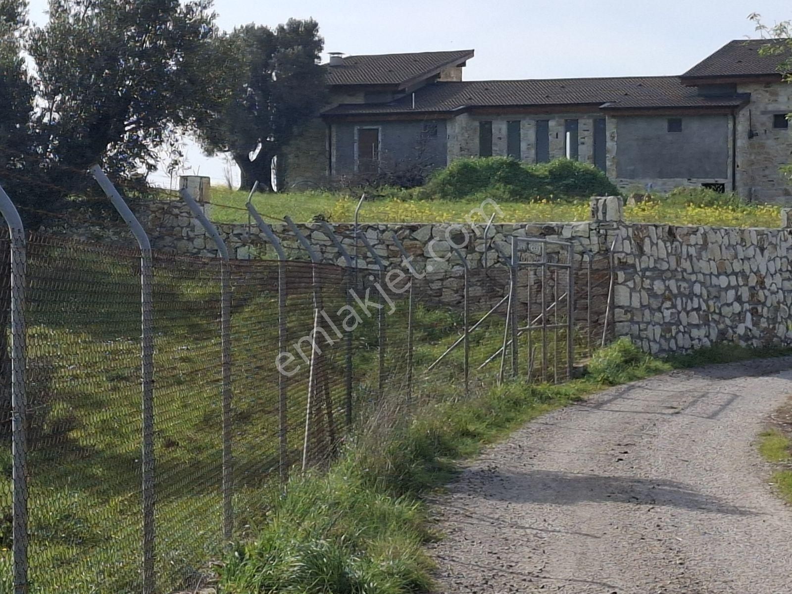 Foça Bagarası Kocamehmetler Mahallesinde Satılık Arazi - Görsel 22