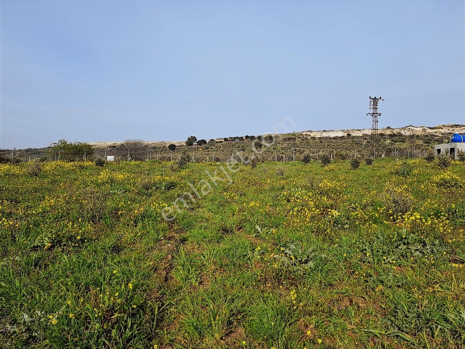 Foça Bagarası Kocamehmetler Mahallesinde Satılık Arazi - Görsel 27