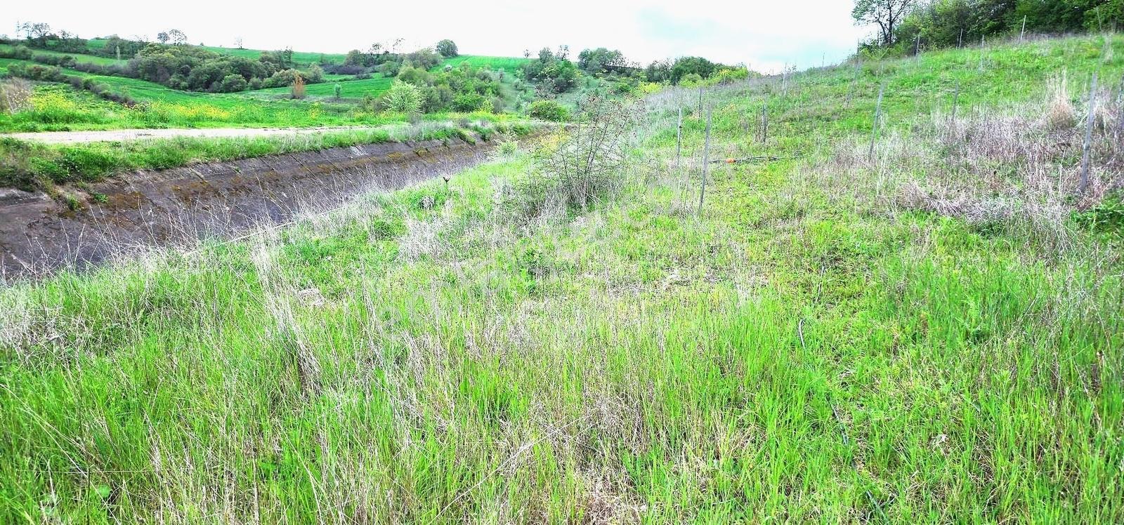 Çanakkale Biga Danışment Köyü Satılık Arazi - Görsel 9