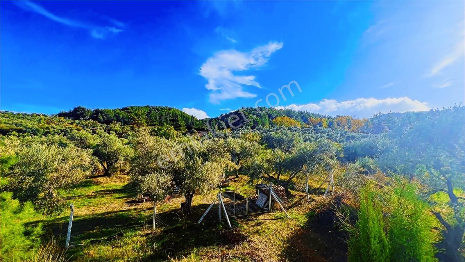 Tek Villa Bağımsız 350 M2 4+1 Triplex - Görsel 14