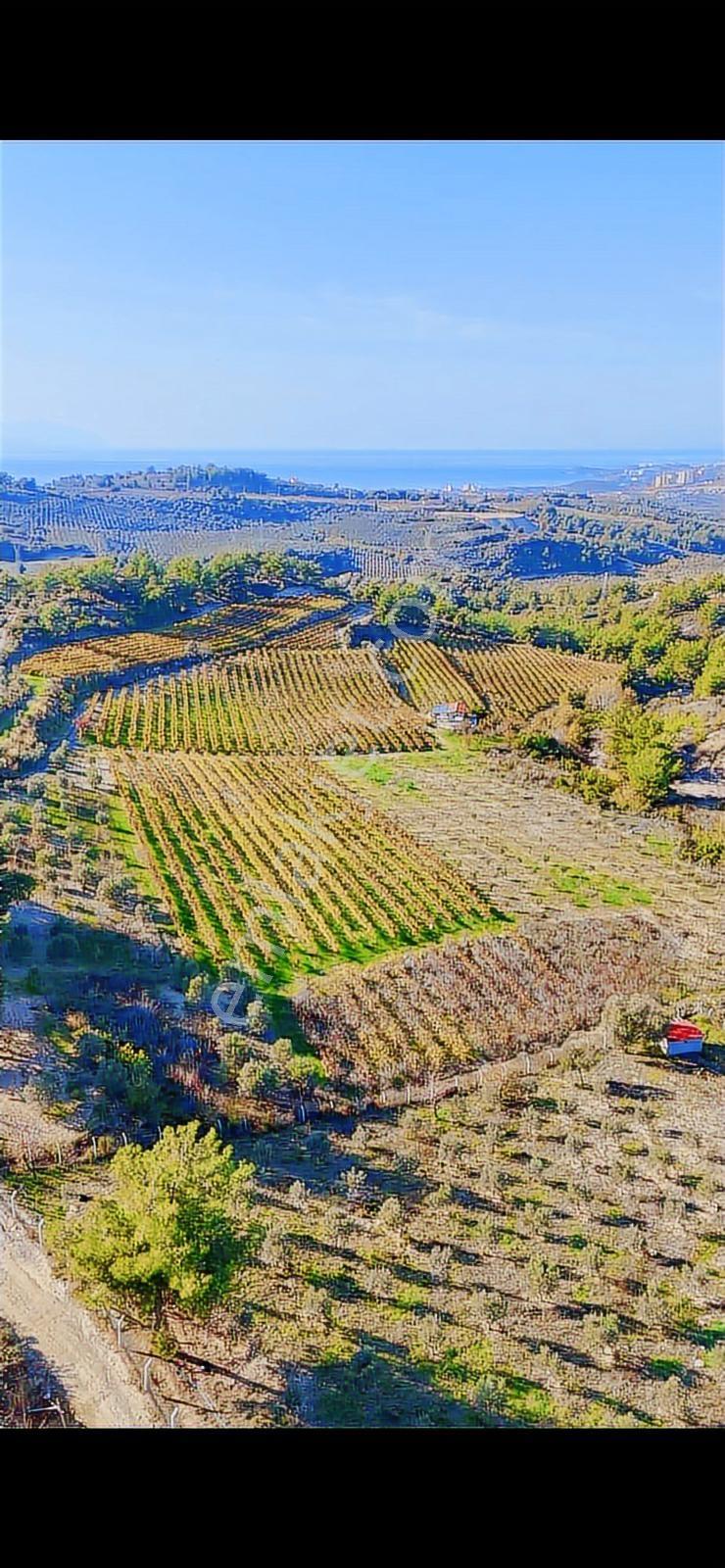 Full Deniz Manzaralı Bahçe Kuşadası Avm 8 Dk