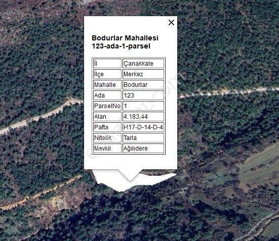 Çanakkale Merkez Bodurlar'da Satılık 4183m² Orman İçi Tarla - Görsel 6