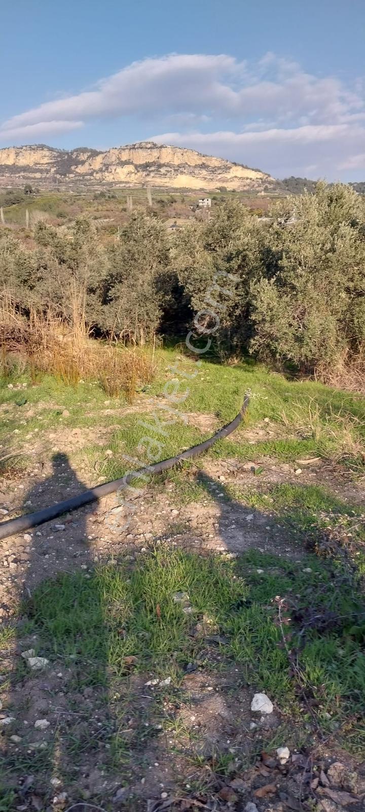 Turunçluda Köyiçi İmarlı 310+80 M2 Satılık Arsa - Görsel 8