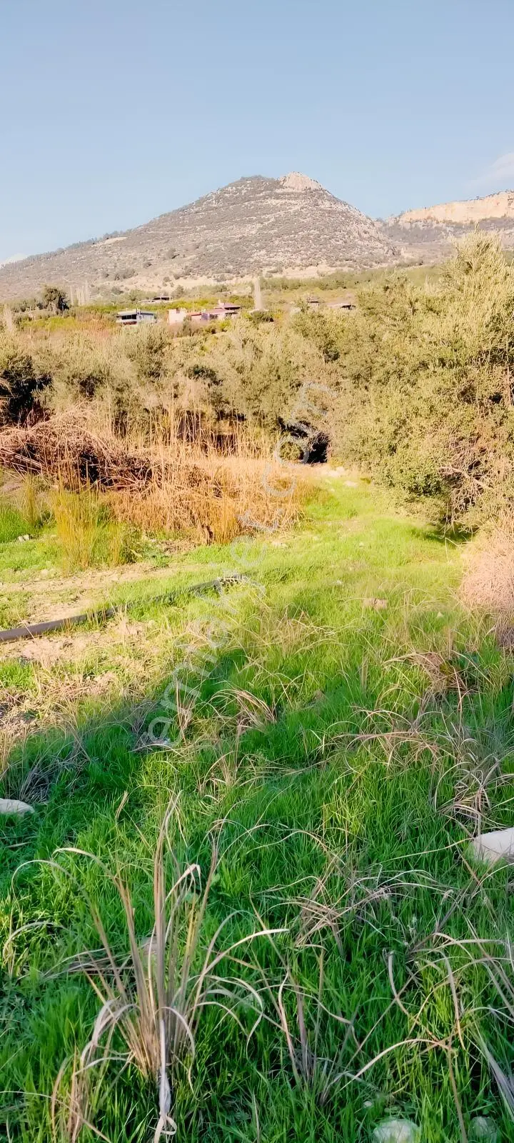 Turunçluda Köyiçi İmarlı 310+80 M2 Satılık Arsa