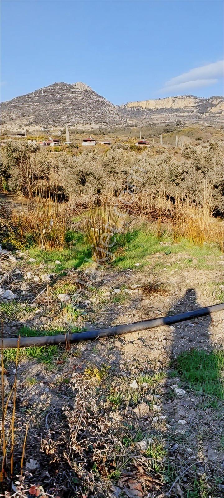 Turunçluda Köyiçi İmarlı 310+80 M2 Satılık Arsa - Görsel 4