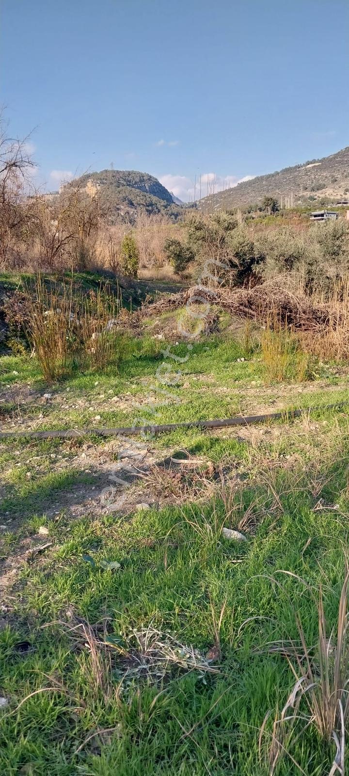 Turunçluda Köyiçi İmarlı 310+80 M2 Satılık Arsa - Görsel 9