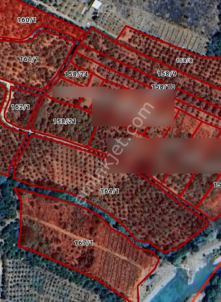 Turunçluda Köyiçi İmarlı 310+80 M2 Satılık Arsa - Görsel 6