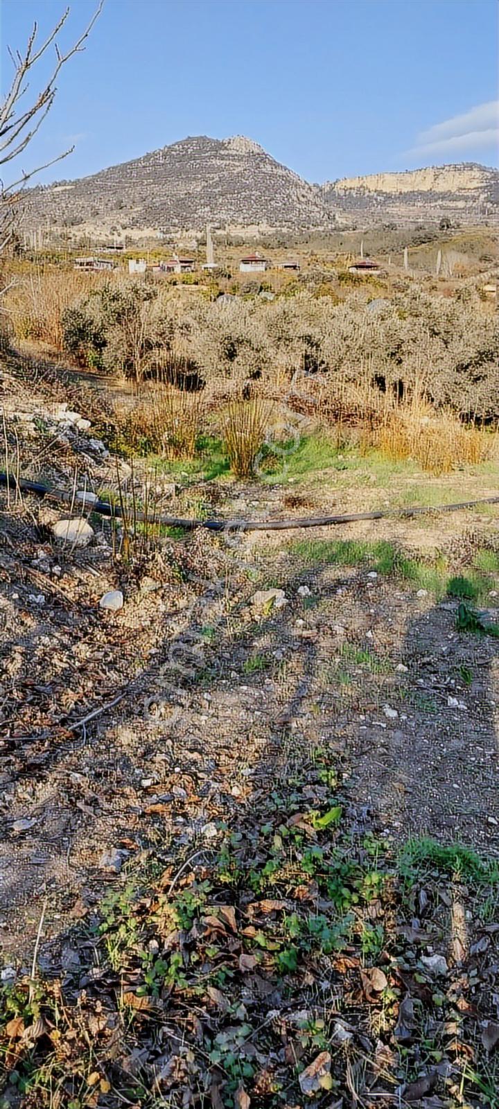 Turunçluda Köyiçi İmarlı 310+80 M2 Satılık Arsa - Görsel 3