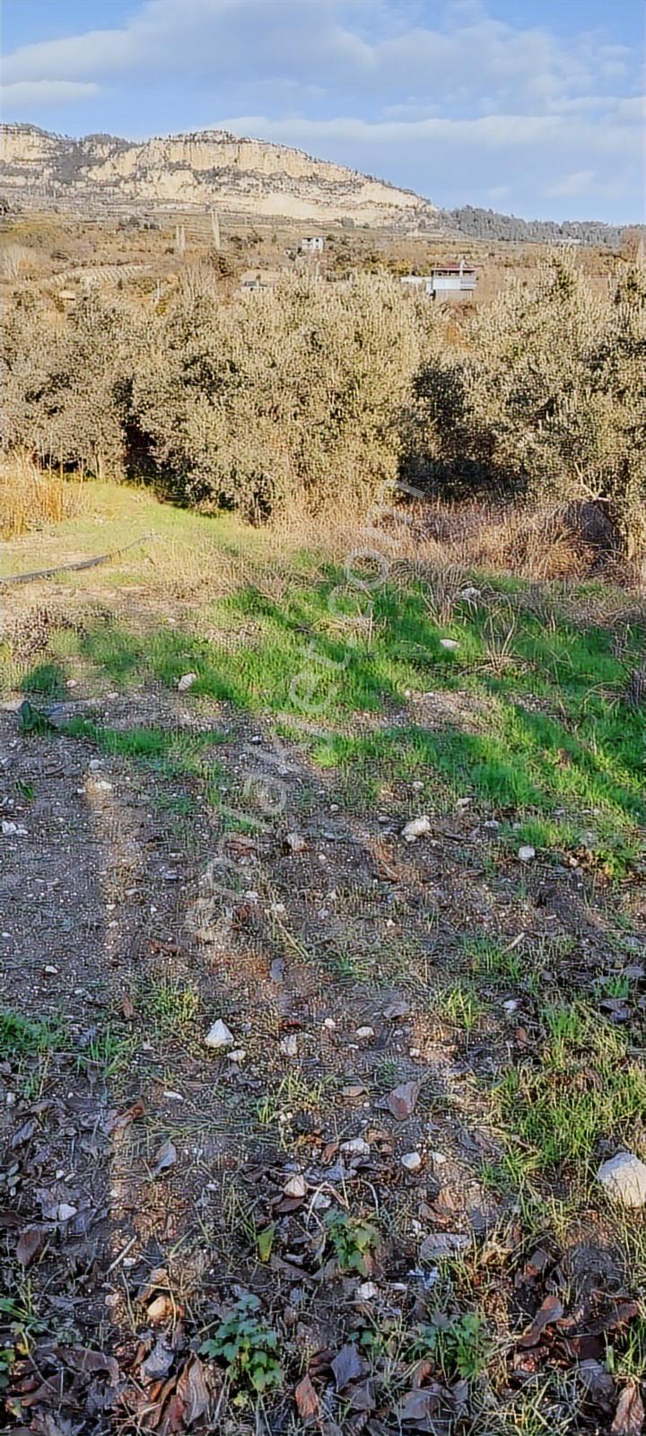 Turunçluda Köyiçi İmarlı 310+80 M2 Satılık Arsa - Görsel 5