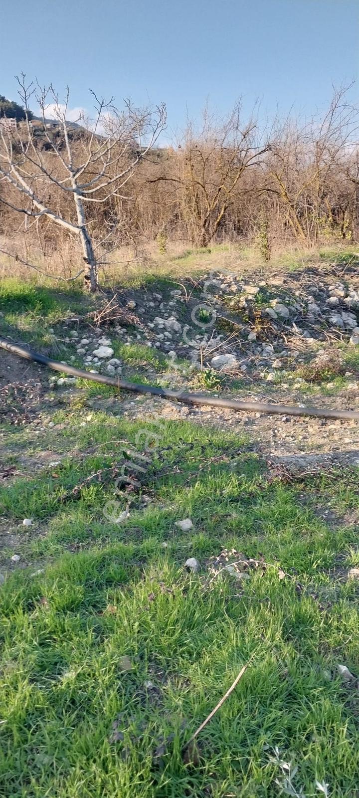 Turunçluda Köyiçi İmarlı 310+80 M2 Satılık Arsa - Görsel 7