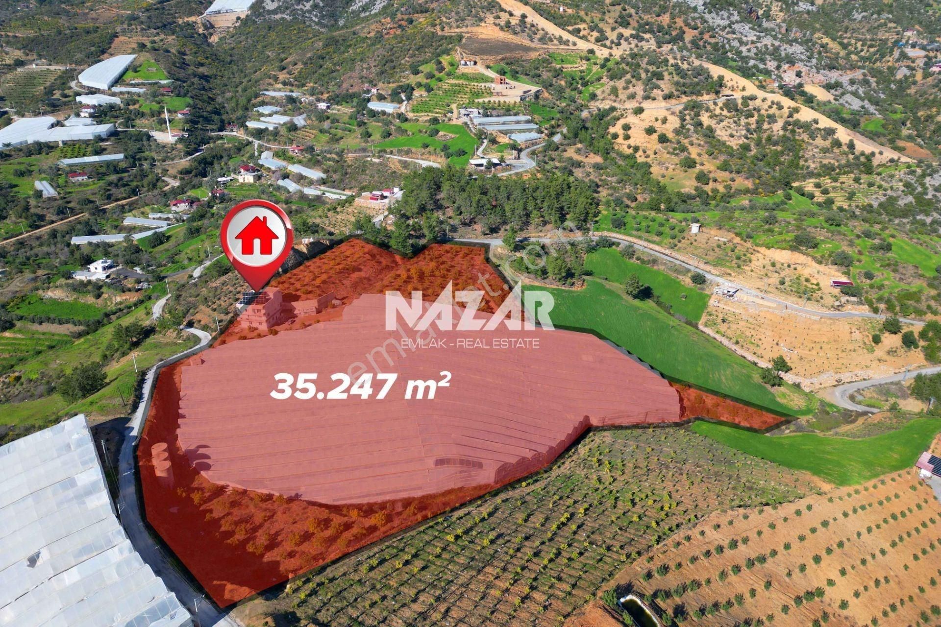 Gazipaşa Kızılgüney’de 35.247 M² Tarla, Kapalı Sera Ve Bina - Görsel 3