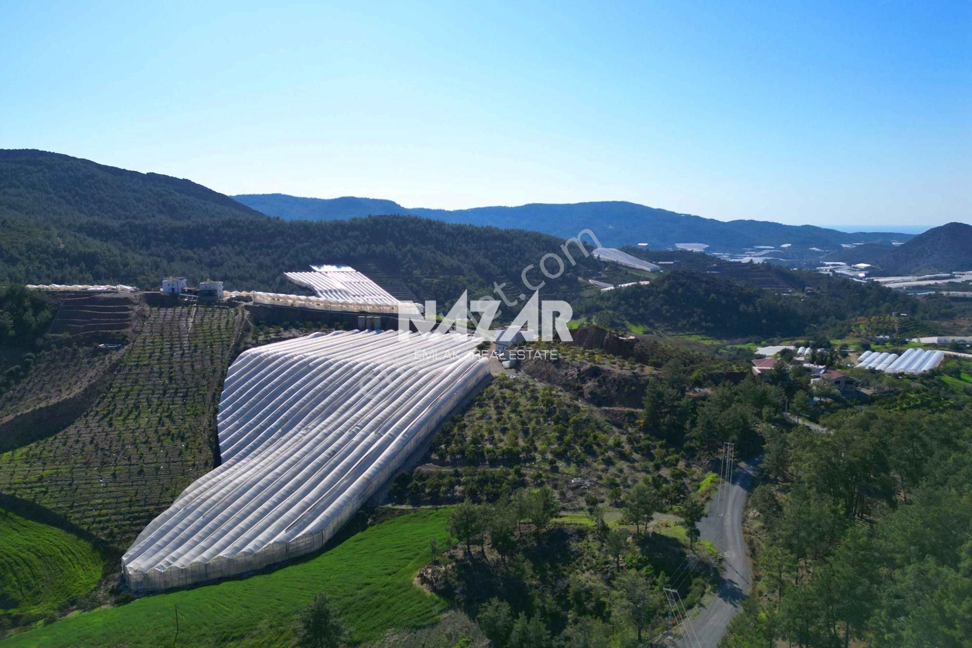 Gazipaşa Kızılgüney’de 35.247 M² Tarla, Kapalı Sera Ve Bina - Görsel 10