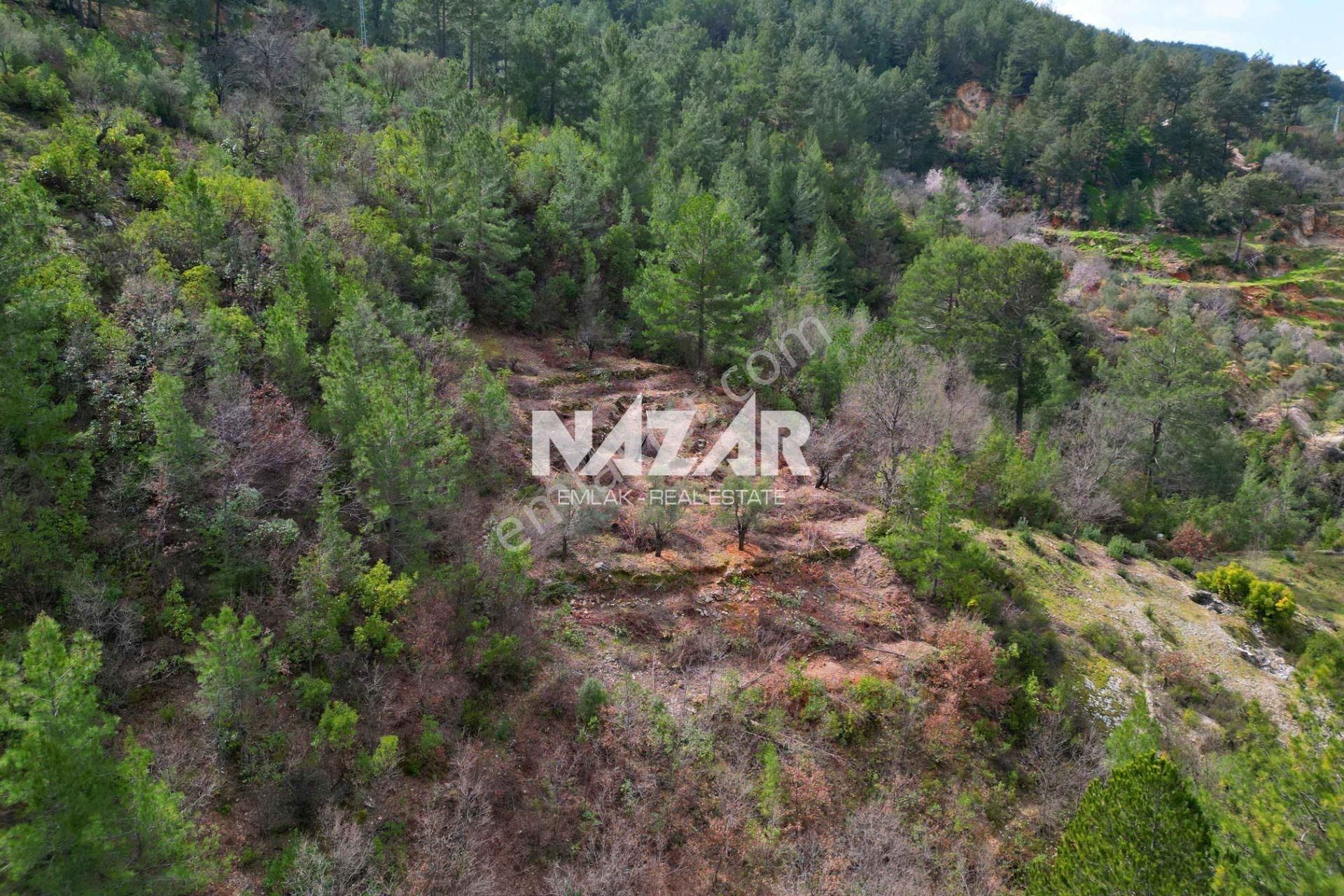 Alanya Türktaş’ta 2.835 M² Satılık Tarla - Görsel 15