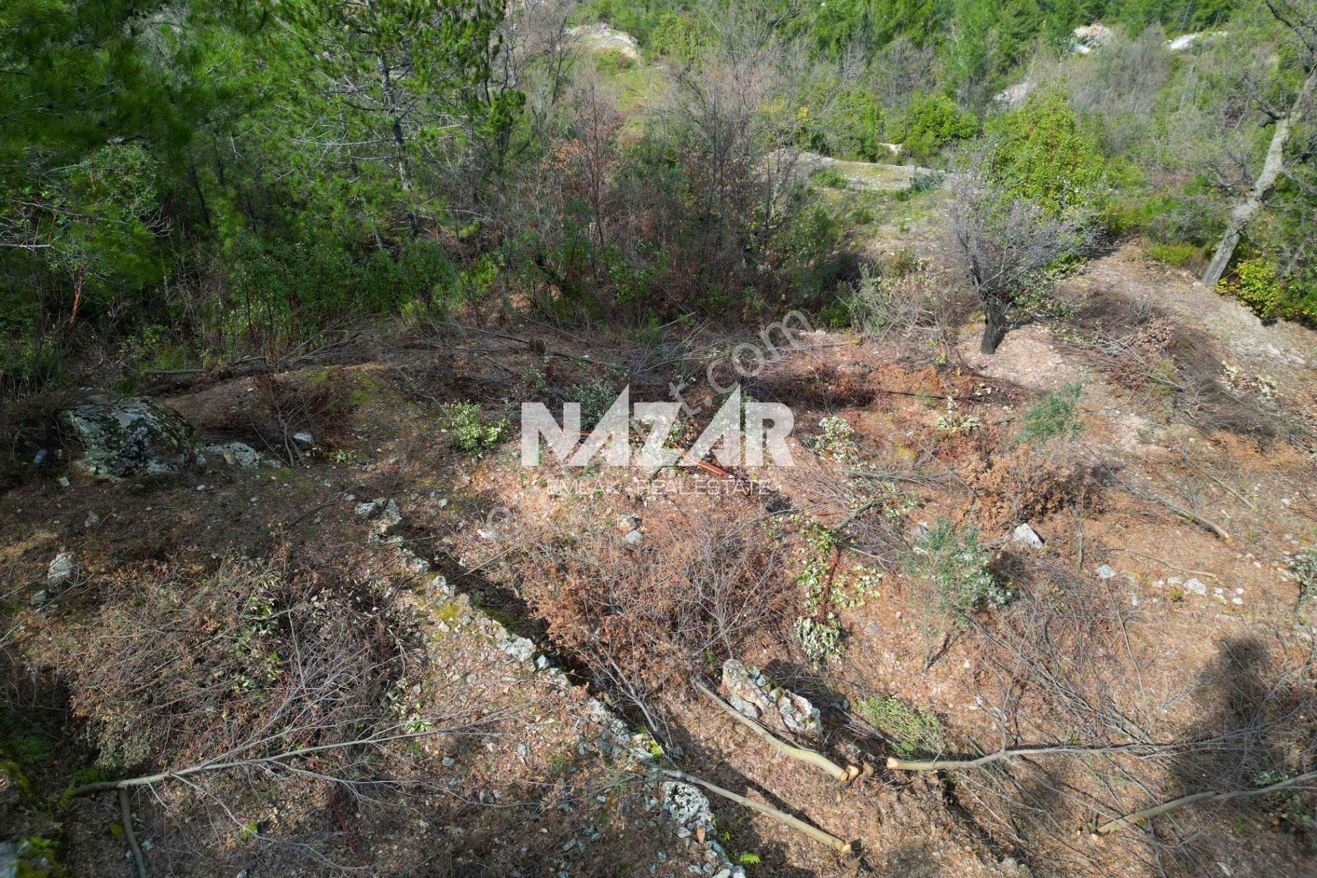 Alanya Türktaş’ta 2.835 M² Satılık Tarla - Görsel 11