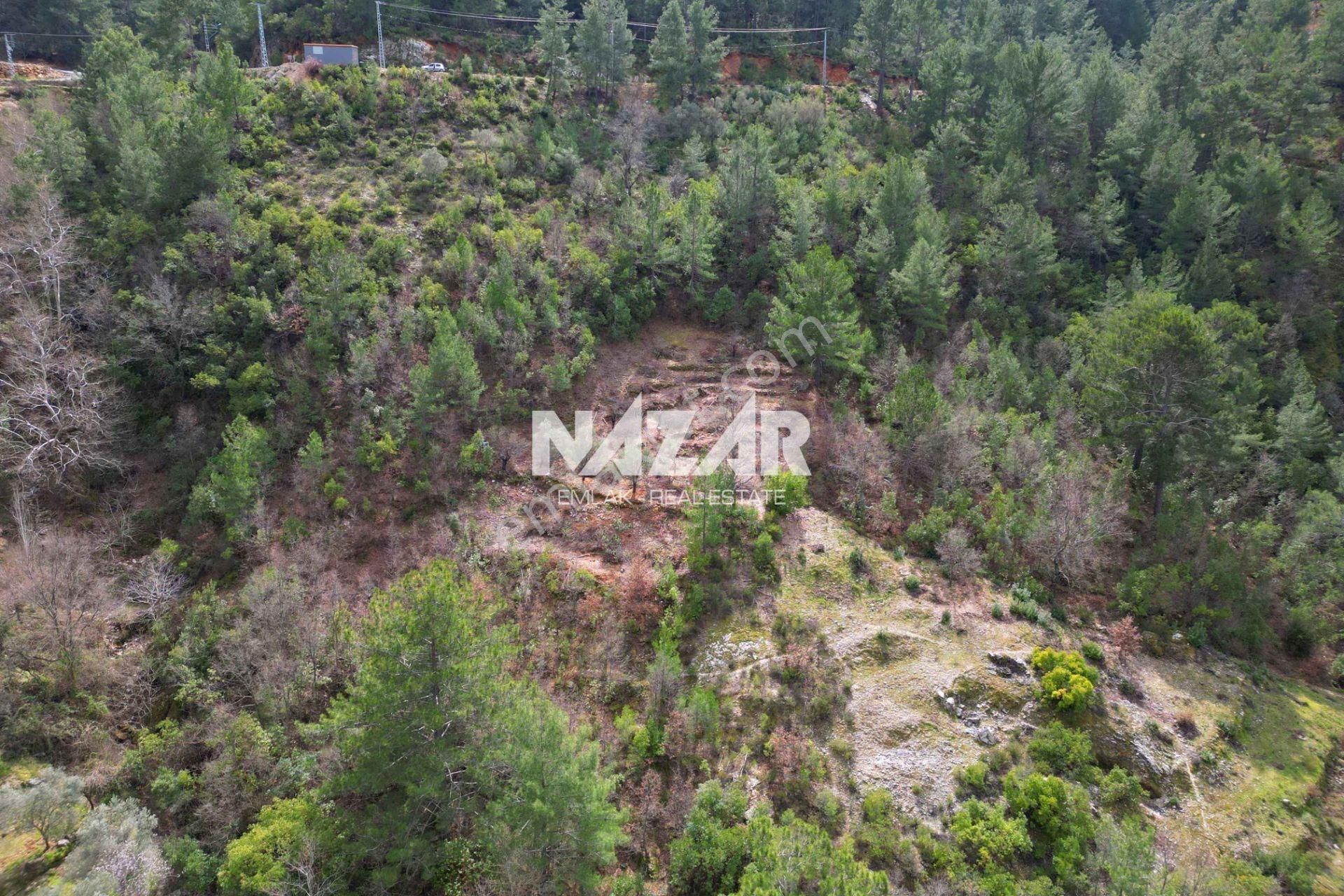 Alanya Türktaş’ta 2.835 M² Satılık Tarla - Görsel 13