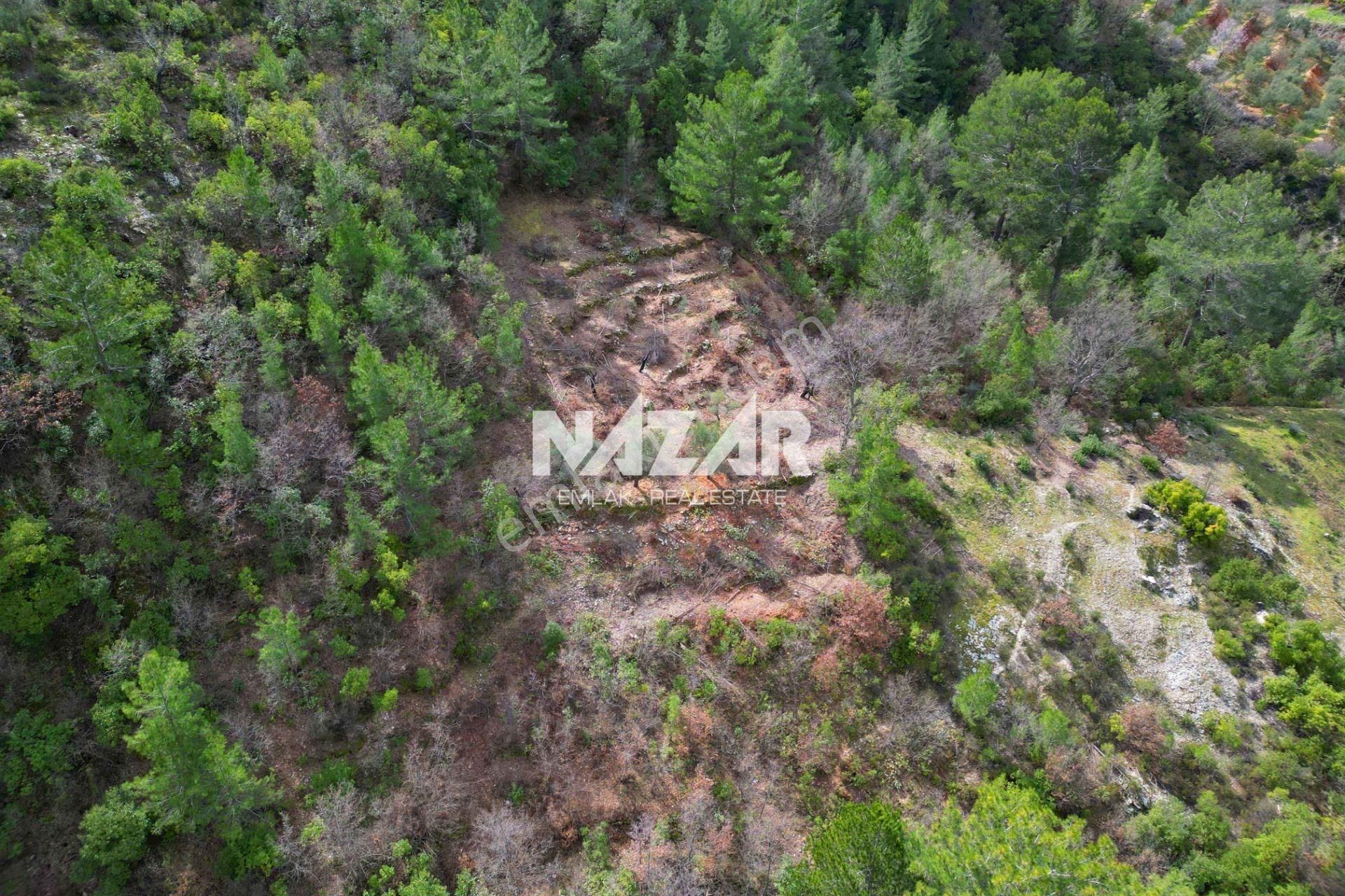 Alanya Türktaş’ta 2.835 M² Satılık Tarla - Görsel 6