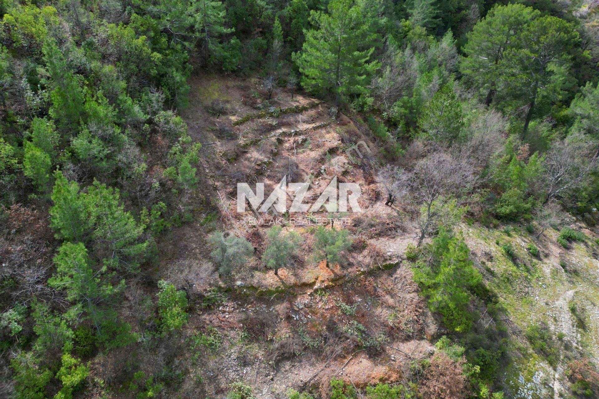 Alanya Türktaş’ta 2.835 M² Satılık Tarla - Görsel 7