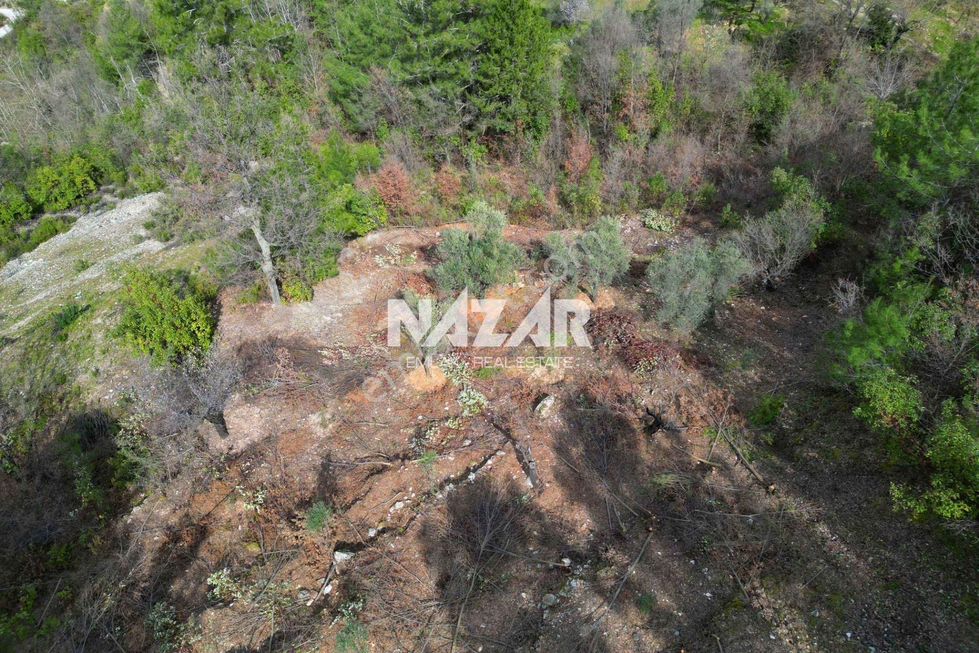 Alanya Türktaş’ta 2.835 M² Satılık Tarla - Görsel 9