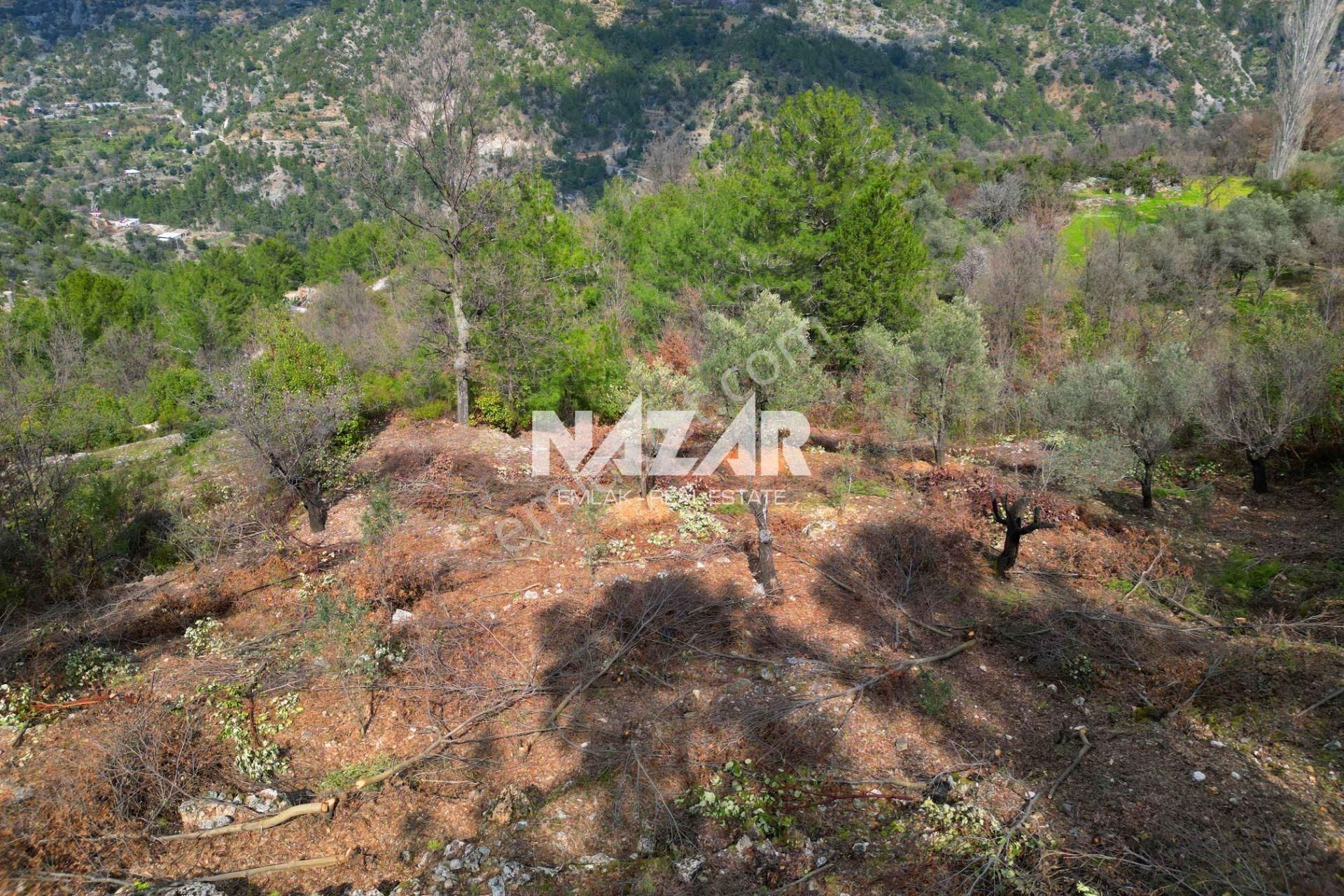 Alanya Türktaş’ta 2.835 M² Satılık Tarla - Görsel 12